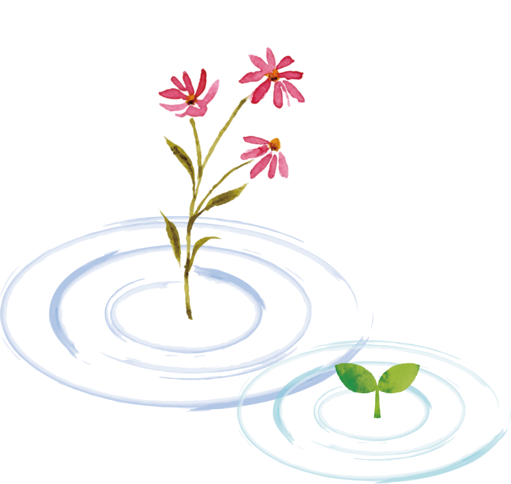 波紋と芽と花